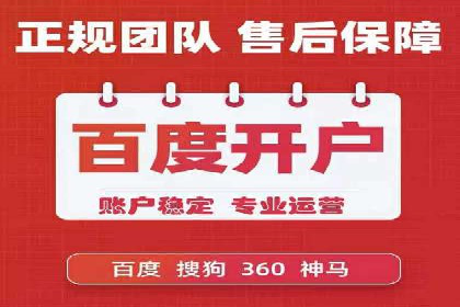 SEM代运营服务公司案例分析：数据驱动营销策略